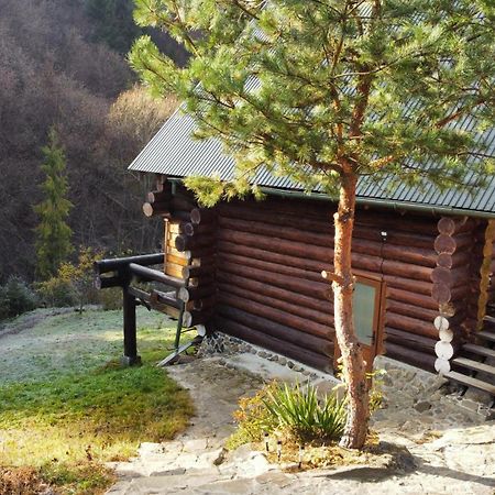 Bungalow In Mauntains With Chan Near The Forest Slawske Exterior foto