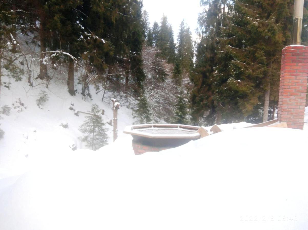 Bungalow In Mauntains With Chan Near The Forest Slawske Exterior foto